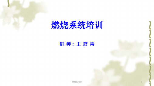 燃烧机培训课件