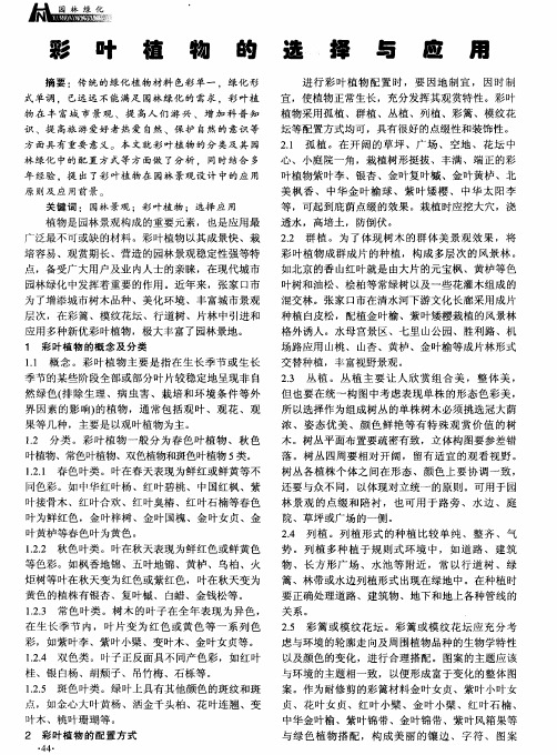 彩叶植物的选择与应用