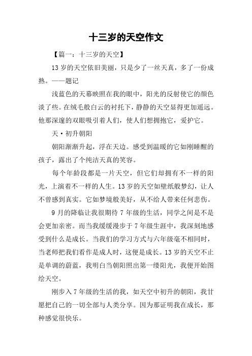 十三岁的天空作文