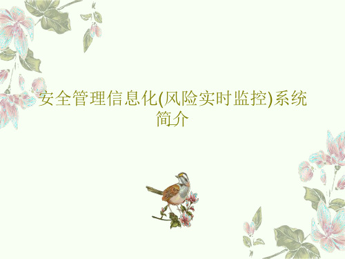 安全管理信息化(风险实时监控)系统简介52页PPT