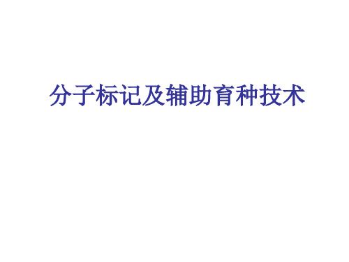 molecular marker 分子标记