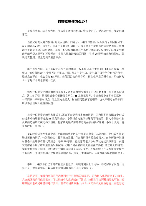 狗狗拉臭便怎么办？