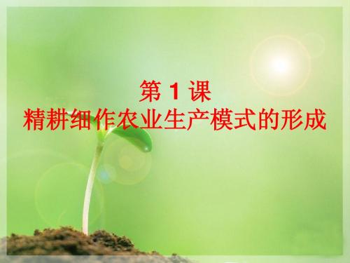 精耕细作农业生产模式的形成