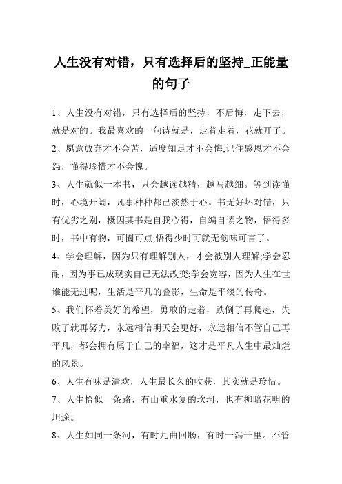 人生没有对错,只有选择后的坚持_正能量的句子