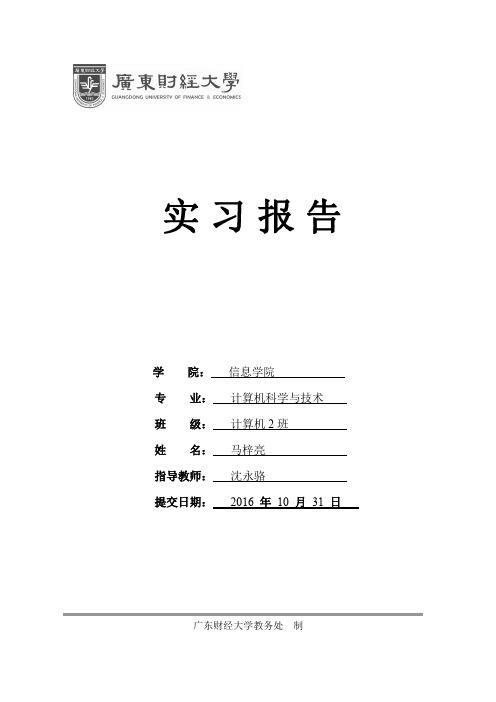 广东财经大学实习报告格式