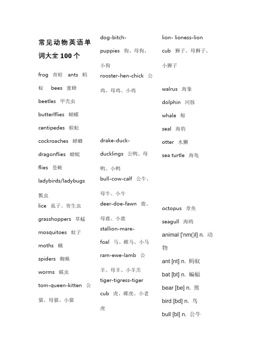 常见动物英语单词大全100个