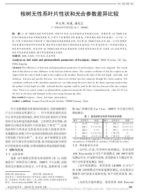 桉树无性系叶片性状和光合参数差异比较