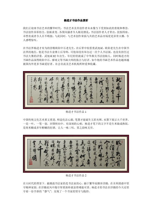 杨进才书法作品赏析