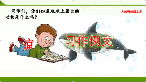 部编人教版语文五年级上册：习作例文：《鲸》《风向袋的制作》课件ppt(新教材)精品资料1
