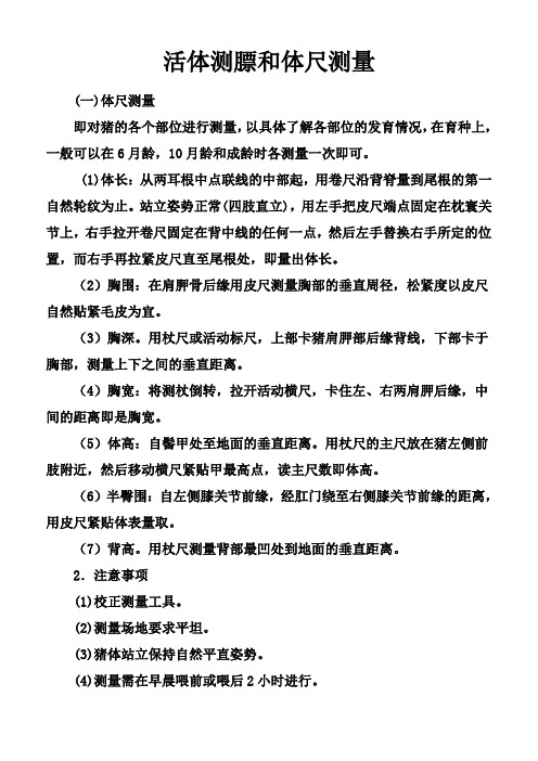 活体测膘和体尺测量