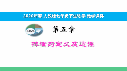 2020年春人教七下生物第五章排泄的定义及途径 教学课件