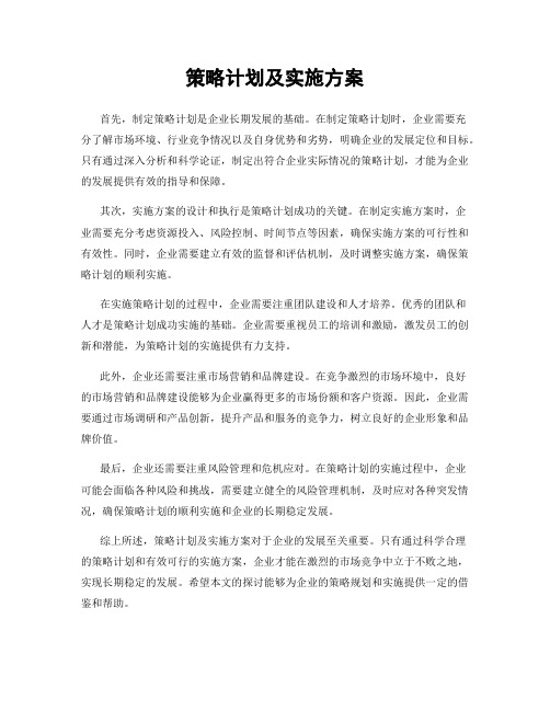 策略计划及实施方案