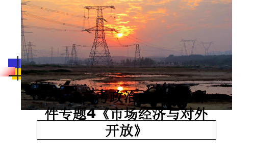 最新高考政治二轮复习课件专题4《市场经济与对外开放》教学讲义ppt课件