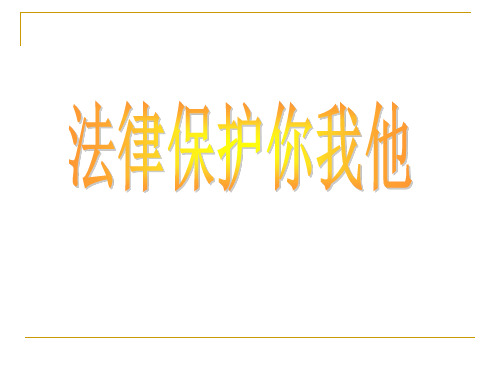 2-3法律保护你我他