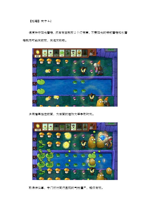 植物大战僵尸秘籍
