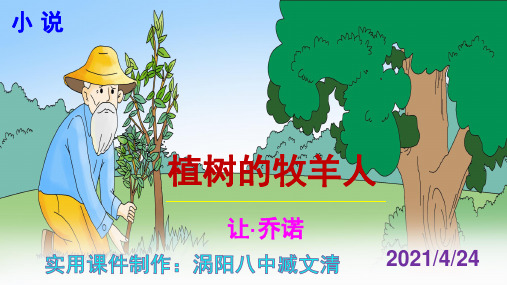 《植树的牧羊人》PPT课件