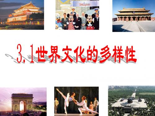 高中政治人教版必修三第三课第一框世界文化多样性(共41张PPT)