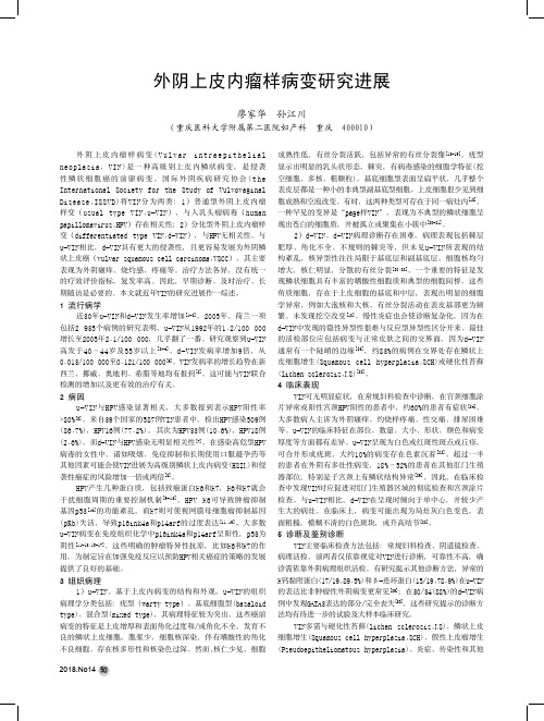 外阴上皮内瘤样病变研究进展