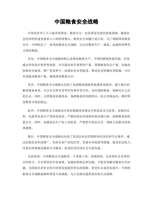 中国粮食安全战略