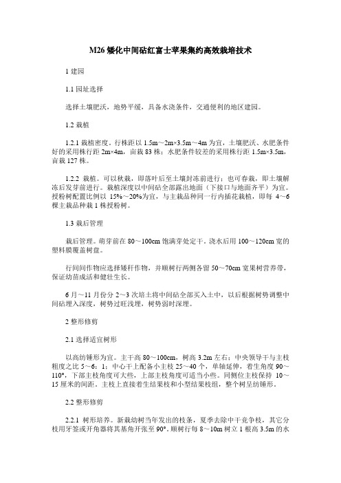 M26矮化中间砧红富士苹果集约高效栽培技术