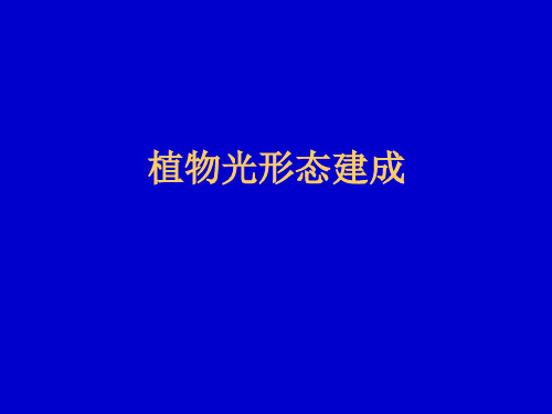 植物生理学 第九章 光形态建成