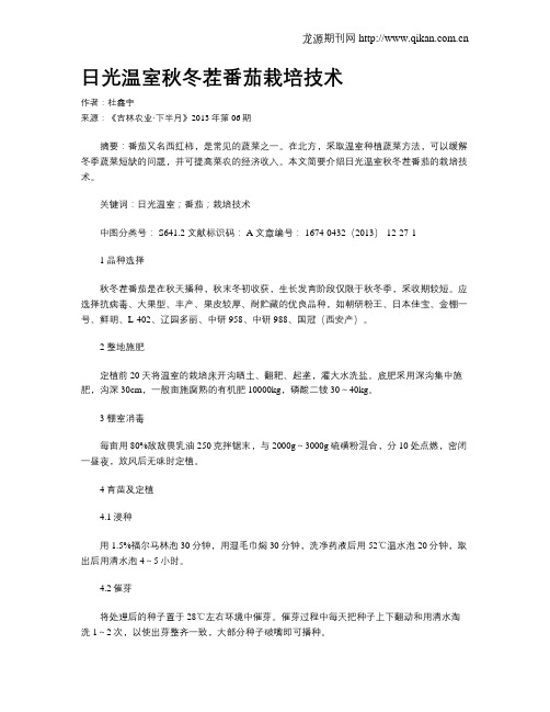 日光温室秋冬茬番茄栽培技术