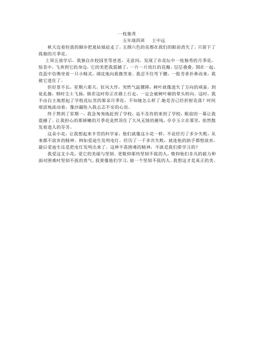 一枝独秀 王中远