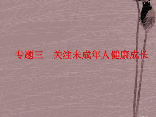 九年级政治课件关注未成年人健康成长