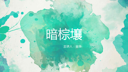 暗棕壤