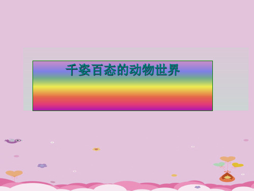 苏教版初中生物八上5. 14.2千姿百态的动物世界 课件 (共29张PPT)