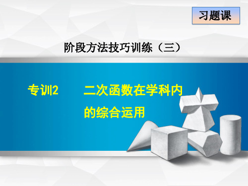 春冀教版九年级下册数学第30章习题专训课件：二次函数在学科内的综合运用 (共25张PPT)