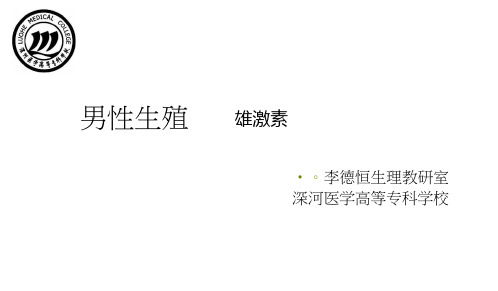 02雄激素