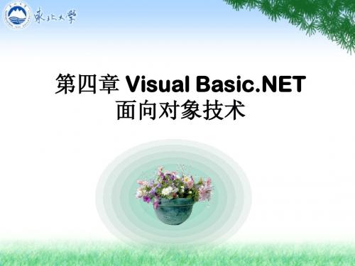 程序设计 第四章VisualBasic面向对象技术