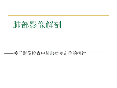 肺部影像解剖