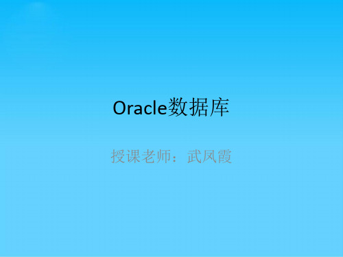 数据库的简要概述(ppt 25页)