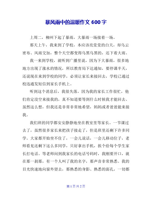 暴风雨中的温暖作文600字