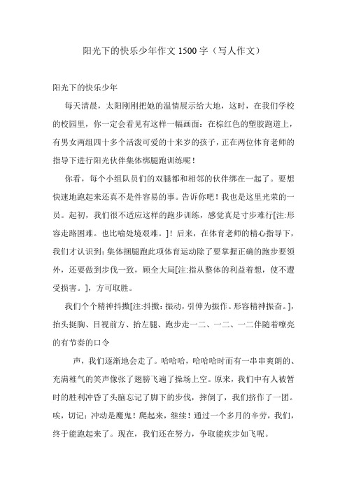 阳光下的快乐少年作文1500字(写人作文).doc