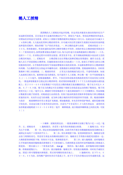 鹅人工授精
