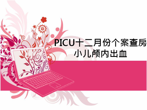 [医学]颅内出血 PPT课件