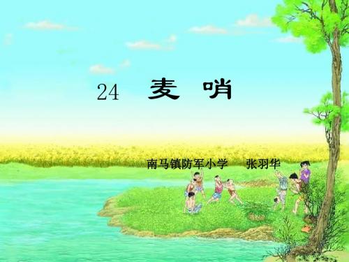 麦哨21张ppt课件.ppt