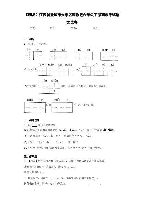 小学江苏省盐城市大丰区六年级下册期末考试语文试卷(含答案解析)