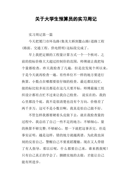 关于大学生预算员的实习周记