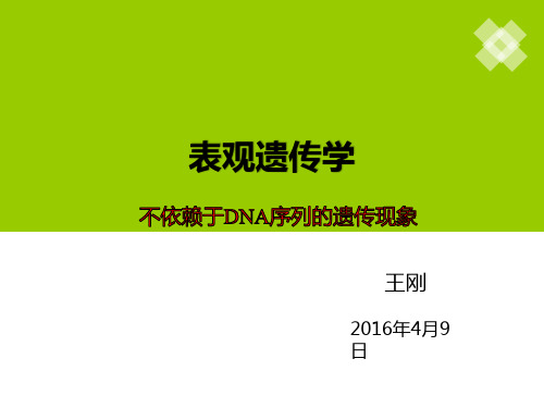 表观遗传学 PPT课件