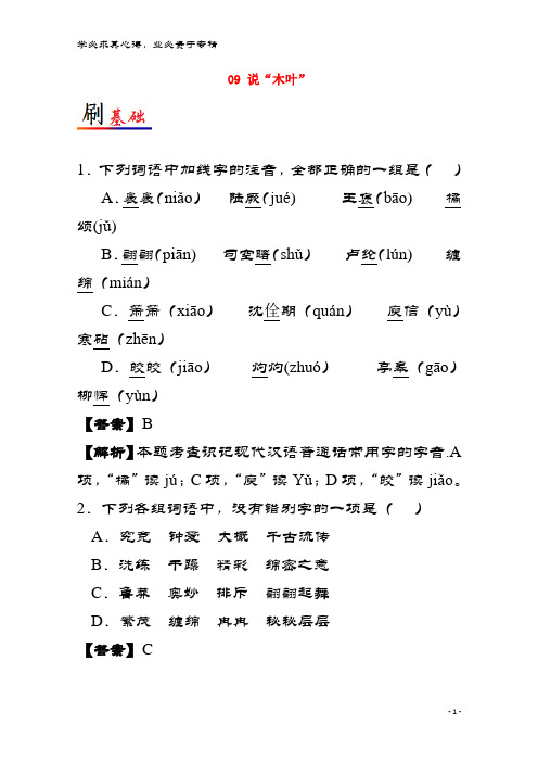 高中语文 小题狂刷09 说“木叶”(含解析)