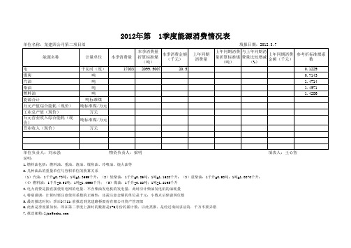 能源消费情况表表样