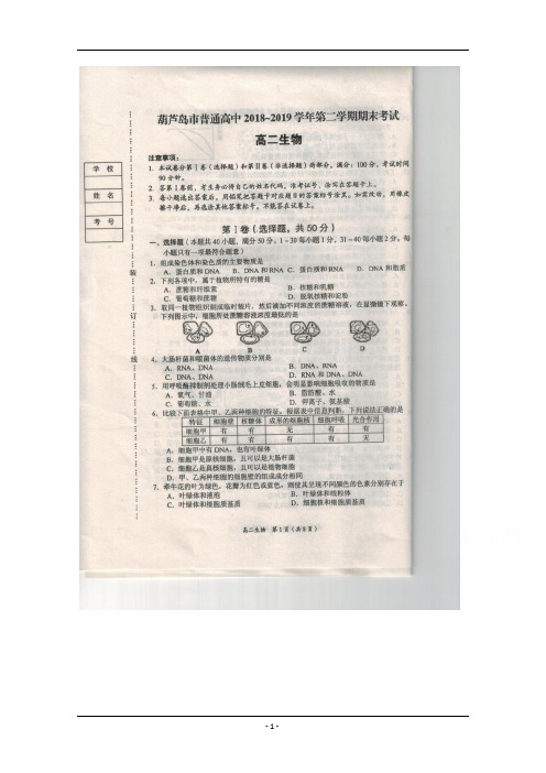 辽宁省葫芦岛市2018-2019学年高二下学期学业质量监测(期末) 生物 含答案