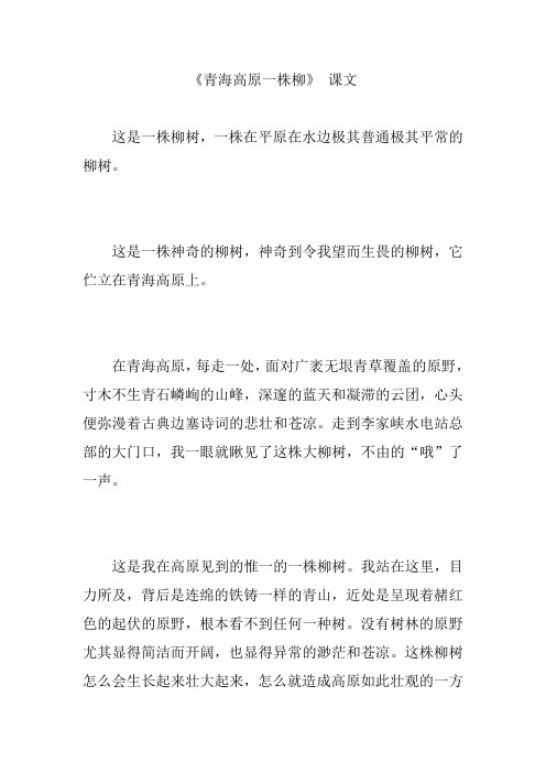 《青海高原一株柳》 课文