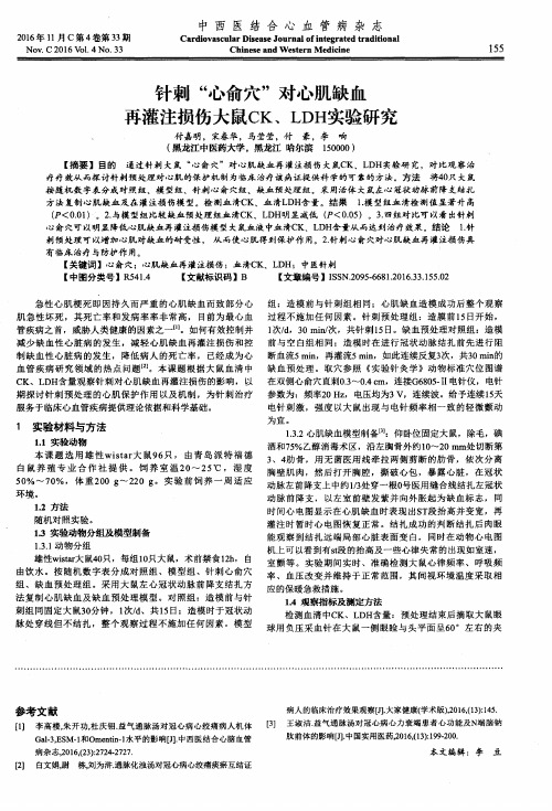 针刺“心俞穴”对心肌缺血再灌注损伤大鼠CK、LDH实验研究