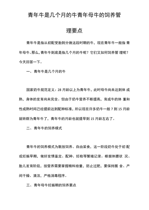 青年牛是几个月的牛青年母牛的饲养管理要点