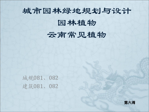 云南常见植物